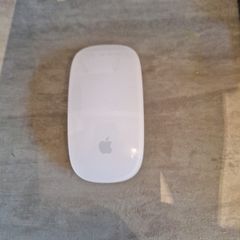 apple magic mouse (aa battery version)