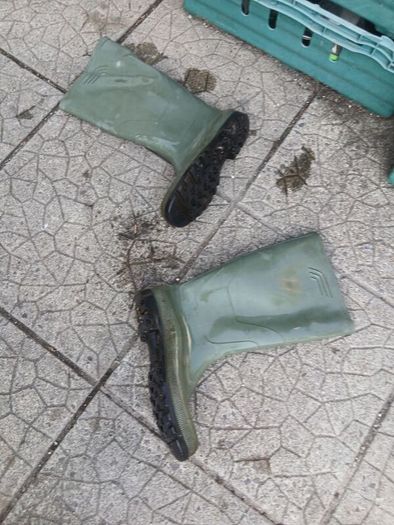 wheelington boots