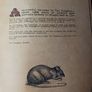 The London Dungeon / Fearsome Facts & Gruesome Tales Image 3