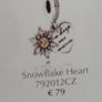 Pandora charm Image 4