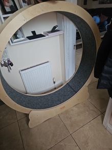 Cat wheel