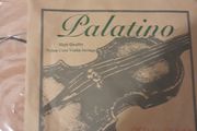 Violin string