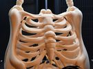 Custom 3D Printing/Scanning Service Image 6