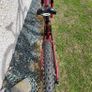 Transition Sentinel carbon Image 4