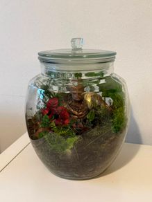 Groot Living Closed Terrarium