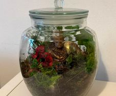 Groot Living Closed Terrarium