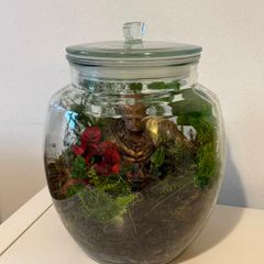 Groot Living Closed Terrarium