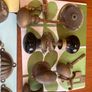 Antique Brassware  and Mixed Bits. Image 4