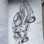 1984 Rover 200 Repair Manual Image 2