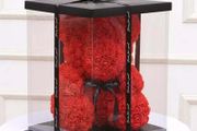 Rose bear 25 cm free packaging