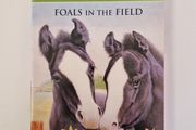 Animal Ark Classics - Foals in the Field