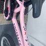 Ridgeback Honey bike Image 4