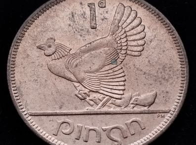 [#2658] - Ireland 1950 | Irish 1d | One Penny | KM.11 | UNC