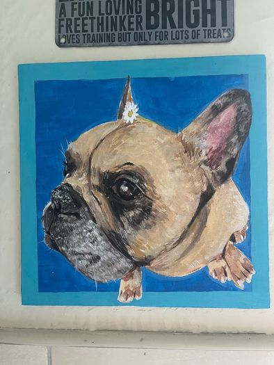 Dog/Pet Commissions