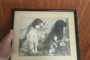 Vintage framed dog photograph
