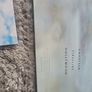 Nick Cave vinyl the good son ghosteen idiot prayer let love in Image 5