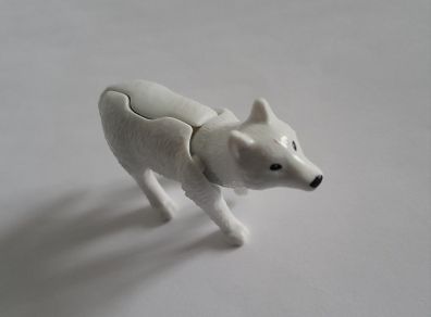 Kinder - Arctic Fox
