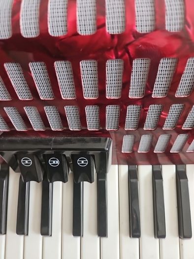 piano accordian...to include case