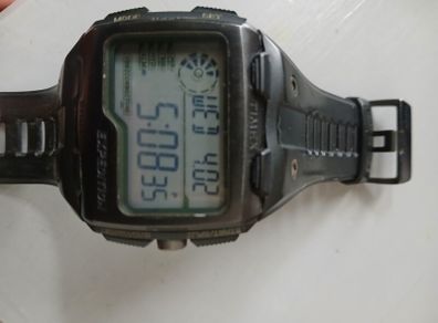 Timex mens watch