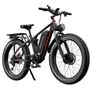 Electric Bike (Doutts S26) Image 2