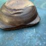 Antique Small Primitive wooden Dough Bowl Image 8