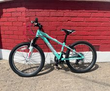 Bike - 20 Inch Team Mountain Bike
