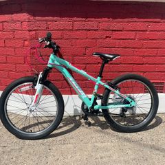 Bike - 20 Inch Team Mountain Bike