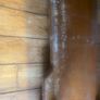 Antique Hall Stand Image 3