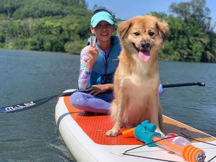 Inflatable Stand Up Paddle Board, 10ft Paddle Boards for Adults with Premium SUP Paddleboard Accessories & Backpack, Wide Stable Design, Non-Slip Comfort Deck for Beginners & Experts