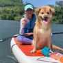 Inflatable Stand Up Paddle Board, 10ft Paddle Boards for Adults with Premium SUP Paddleboard Accessories & Backpack, Wide Stable Design, Non-Slip Comfort Deck for Beginners & Experts Image 4