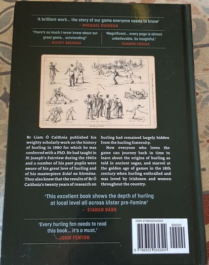 The Epic Origins Of Hurling: Ireland's Ancient Sport by Liam O'Caithnea