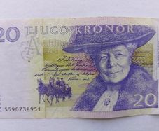 Swedish Banknote