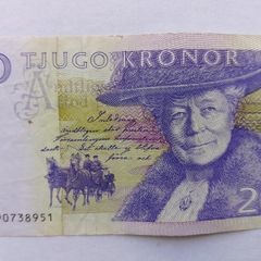 Swedish Banknote