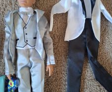 Barbie - Ken Doll with accessories set 1
