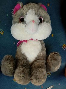 Giant cat teddy