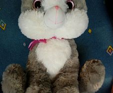 Giant cat teddy