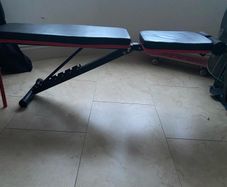 Adjustable Weight Bench with Leg Developer & Preacher Curl