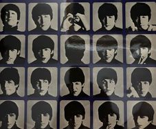 The Beatles vinyl lp.    Irish pressing
