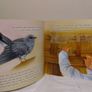 The Christmas Cuckoo Classic Storybook By Frances Browne Image 6