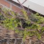 New 120cm length rustic twig and moss garland Image 3