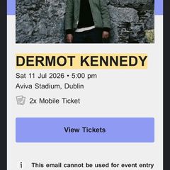 Dermot Kennedy Concert