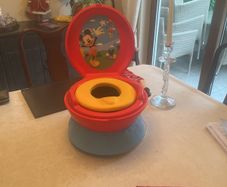 Child's portable potty
