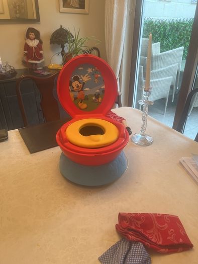 Child's portable potty