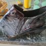 ladys foot Image 5