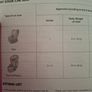 isofix easyfix maxi cosi Image 5