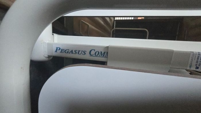 Linet Pegasus Community Electric Hospital Bed with