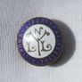 NLYL National League of Young Liberals (political) - membership badge for youth wing of the Liberal Party (1920's) Image 3