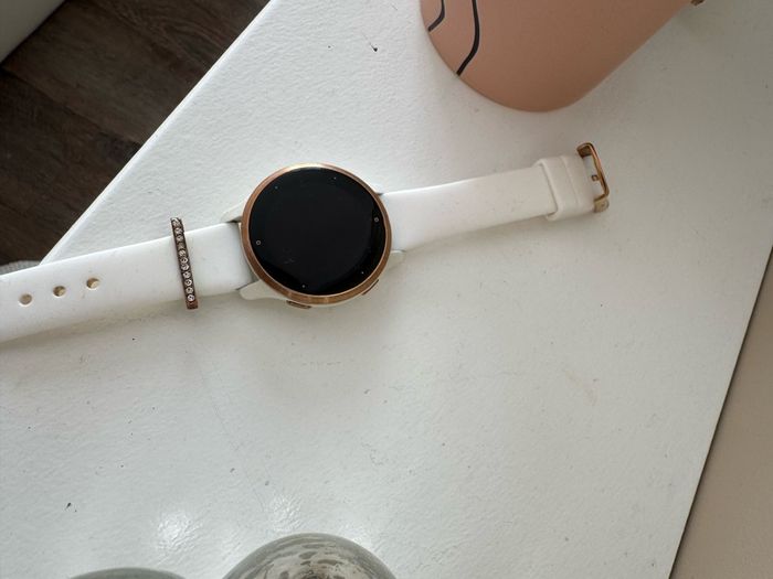 Garmin Venu 2 Smartwatch
