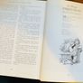Book: the Hutchinson Treasury of Children's literature Image 4