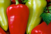 (P) Pepper Monanta seeds 0.2g (110766)